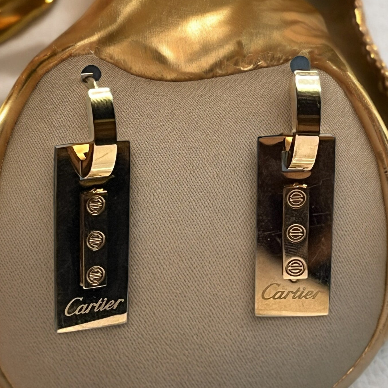 SS Brand Inspired Luxe Earrings