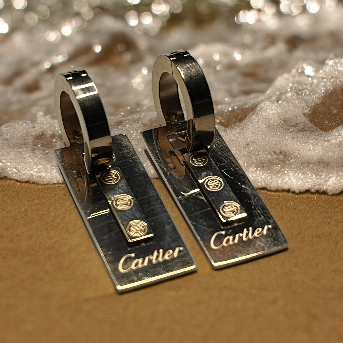SS Brand Inspired Luxe Earrings