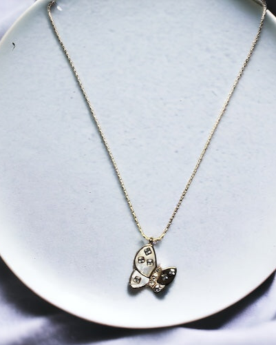 SS Fluttering Beauty: Butterfly Pendant & Chain Set