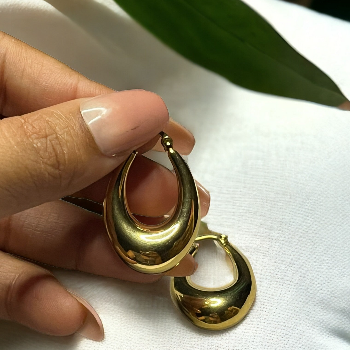 SS Classy Evergreen Hoops Earrings